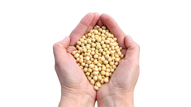 Tarım & Hayvancılık